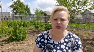 трава для цыплят, какую можно давать, а какую нет.