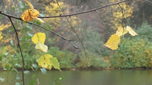 Осень в небе смотреть онлайн