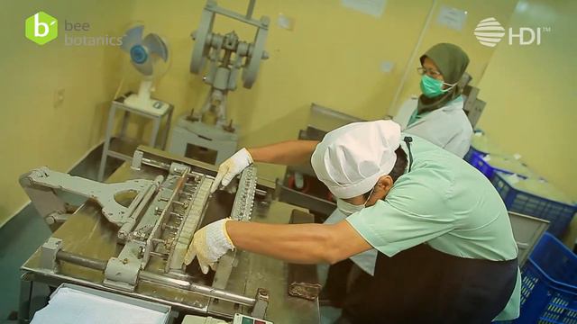 HDI Bee Botanics смотреть онлайн