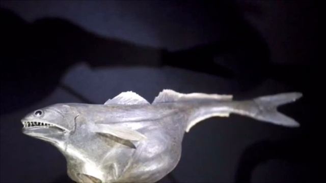 Марианская впадина. Глубоководные рыбы. Погружение батискафа на дно Марианской впадины. смотреть онлайн