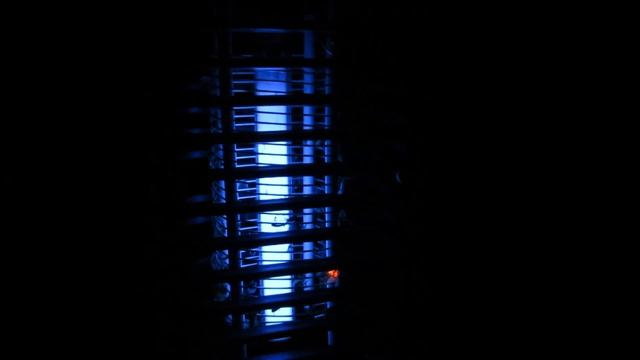 Убийца комаров и других насекомых в деле - Electronical Mosquito Killer Lamp