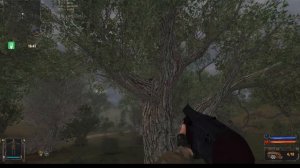 S.T.A.L.K.E.R. Золотой шар. Завершение. Как  достать рюкзак на дереве, на Окраине зоны.
