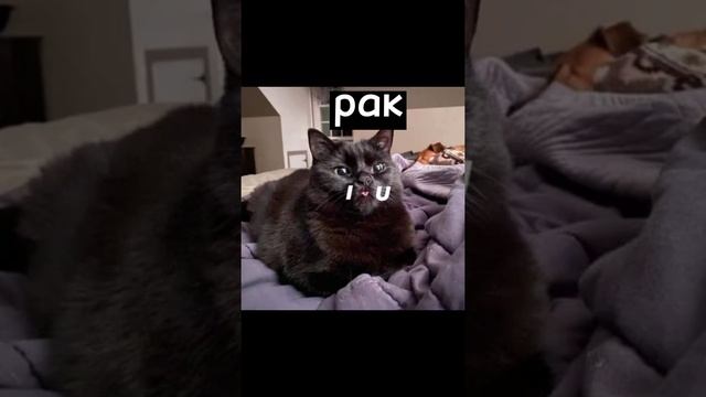 пой эти песни если твой знак зодиака... смотреть онлайн