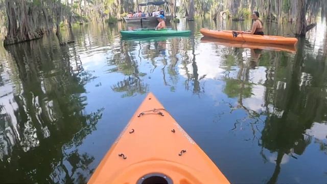Bayou Adventure : Louisiana смотреть онлайн
