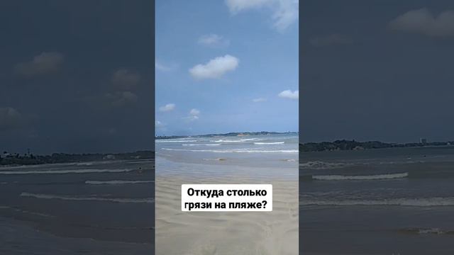 Откуда столько грязи на пляжах Шри-Ланки? смотреть онлайн