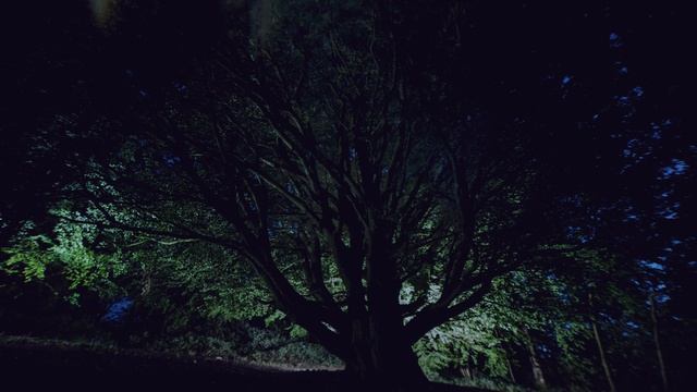 Where Spirits Sleep [Epic Vocal Fantasy] - by Eric Heitmann and @AmyWallaceVocalist смотреть онлайн