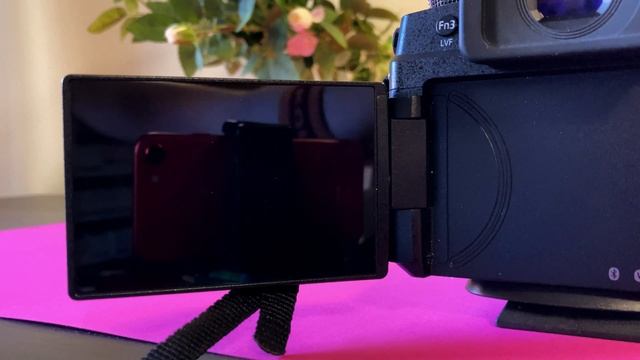 Panoramica sulla Panasonic Lumix G90 смотреть онлайн