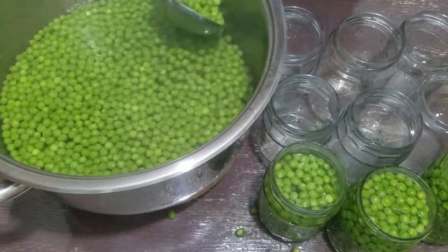 BEZELYE KONSERVESİ TARİFİ-KIŞA HAZIRLIK/КАК КОНСЕРВИРОВАТЬ ЗЕЛЕНЫЙ ГОРОШЕК-ЗАГОТОВКИ НА ЗИМУ смотреть онлайн