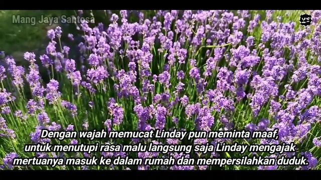 MERTUA DAN MENANTU | KISAH KEHIDUPAN | CERITA PENDEK ROMANTIS смотреть онлайн