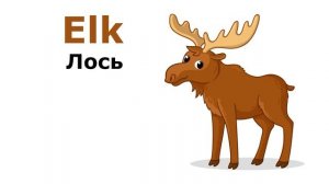 Учим английский. Дикие животные. Wild animals. Учим название диких животных на английском. Часть 1.