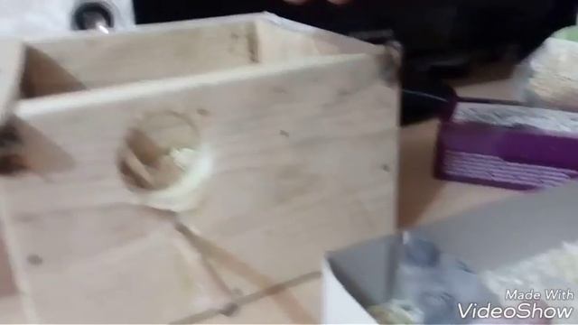 Волнистые попугаи и их потомство. смотреть онлайн
