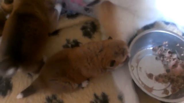 Дети К(Мока-Юджин), 3 недели смотреть онлайн