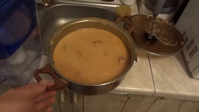 Кошка-светофор и суп-холодец 2011