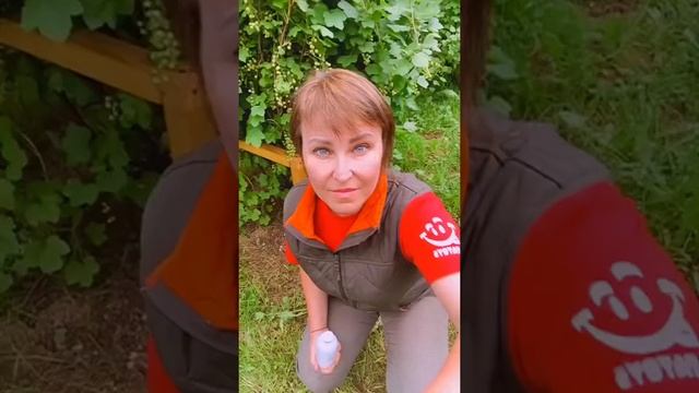 СУПЕР СРЕДСТВО ОТ ТЛИ #дача #огород #дачасадогород смотреть онлайн