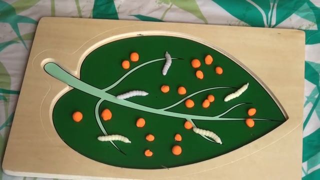 Видео для детей, сказка 2 Рождение бабочки, сказки из ларца, видео с Юлей, развивающее видео смотреть онлайн