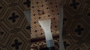 Моющий пылесос,  1600 w,  25 литров бак для грязной воды.