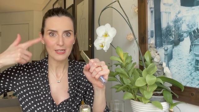 Tudo Sobre O Retinol Puro De Shiseido, O Sérum De Vital Perfection + Descontos E Brindes