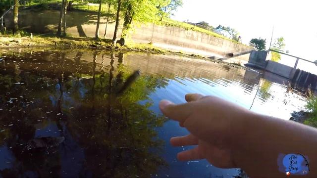 How To Catch Fish With Gulp Alive Minnow смотреть онлайн