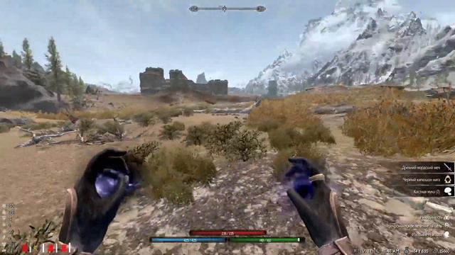 [#4.1] Skyrim RFAB SE X | Ysgramor Challenge | Myp'Ash смотреть онлайн