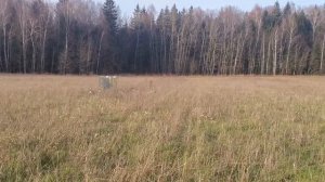 ЗЕРКАЛЬНЫЙ СКРАДОК ДЛЯ ОХОТЫ НА ГУСЯ. КАК РАБОТАЕТ В ОВСЕ. ЗЕРКАЛЬНЫЙ СКРАДОК СВОИМИ РУКАМИ.