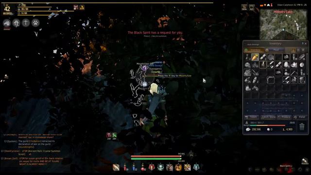 Black Desert Online - How To Start Traininig and Capturing a Horse смотреть онлайн