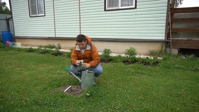 Игровые Обзоры и Прохождения