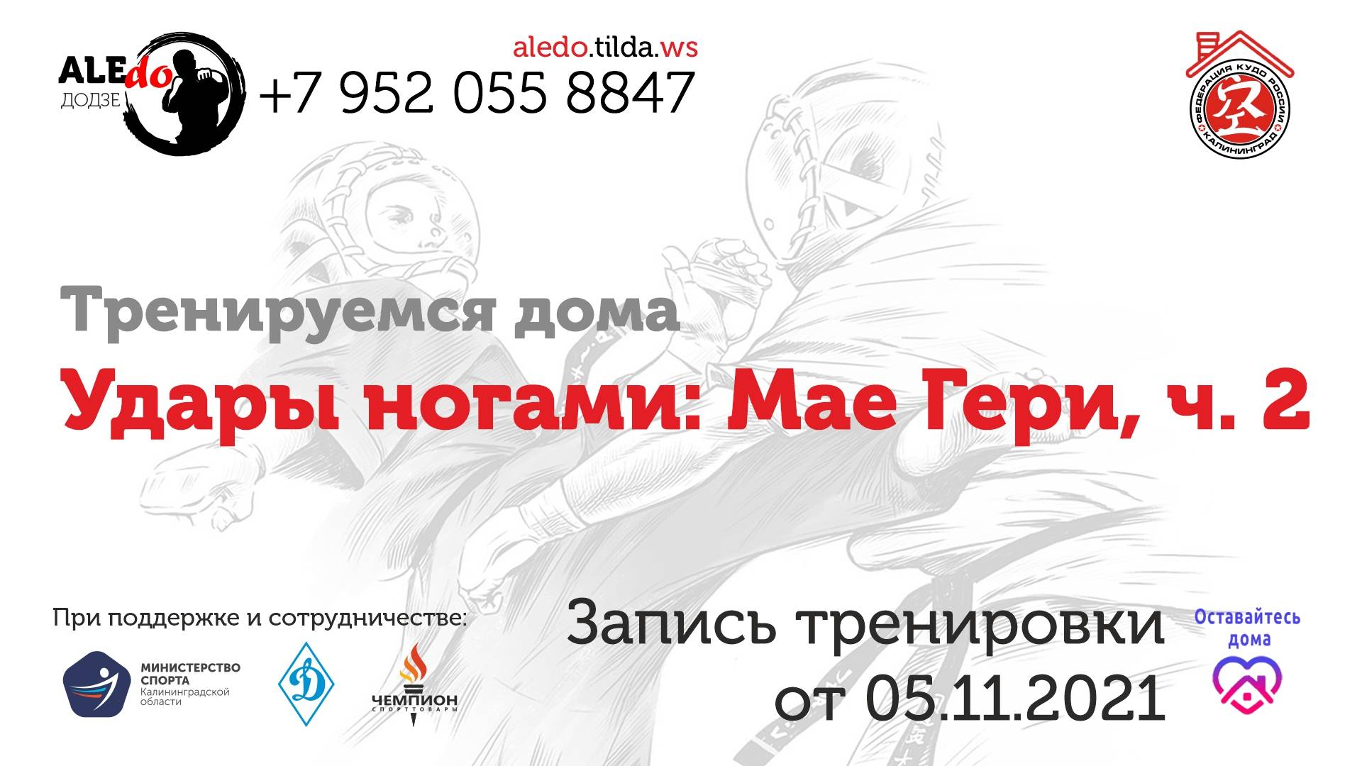 Тренируемся дома. Удары ногами: Мае Гери, ч.2/ Training Alone. Kicks: Mae Geri, Part 2