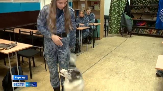 Студенты Алтайского техникума кинологии показали самых дисциплинированных собак на региональных сор смотреть онлайн