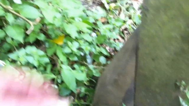 Creative Hidden Geocache. Geocaching Is Awesome!