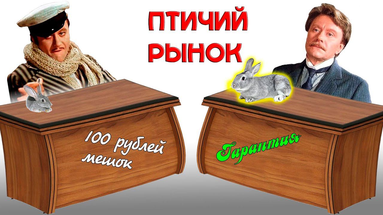 Чем хороший кроликовод отличается от однодневки смотреть онлайн
