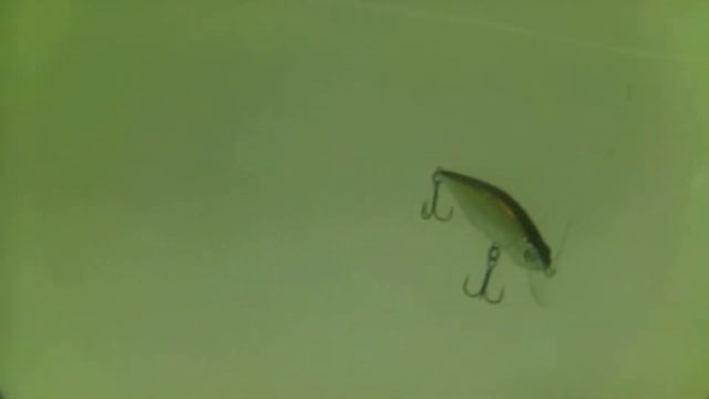 Chaos 72F-SR от Pontoon 21