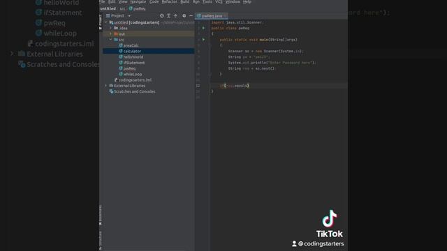 Simple Password request JAVA смотреть онлайн