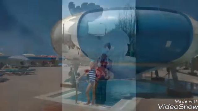 Мои фотографии с путешествиями и шпиц. смотреть онлайн