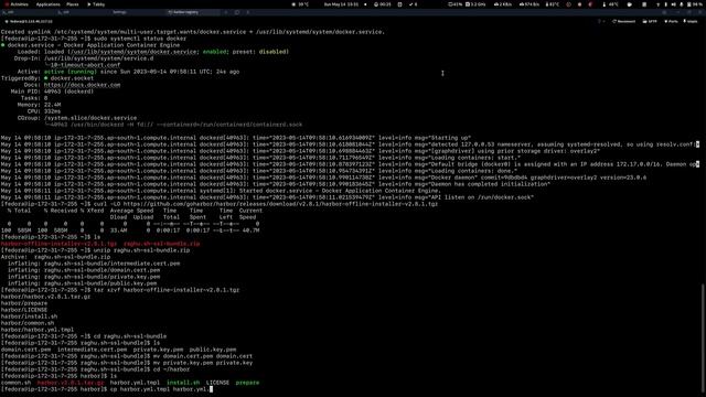 Hosting an Open Container Initiative (OCI) secured registry ft. https://goharbor.io смотреть онлайн