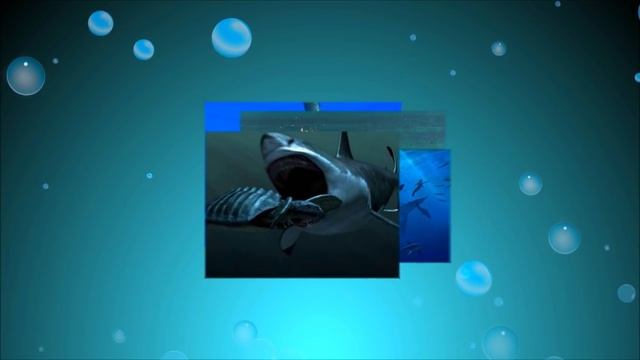 ЧТО ЕСЛИ СВЕРХХИЩНИК МОРЯ МЕГАЛОДОН ЖИВ смотреть онлайн