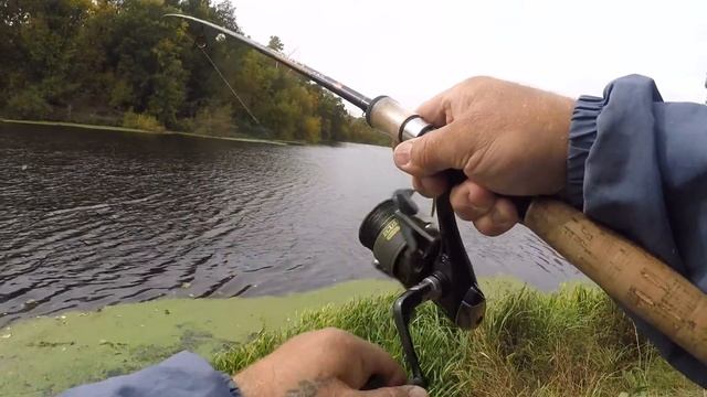 Ловля щуки осенью. Щука на силикон Keitech. Ловля щуки в октябре 2020. Рыбалка на щуку 2020 смотреть онлайн