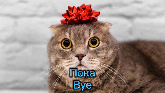 Пока, пора (с субтитрами) смотреть онлайн