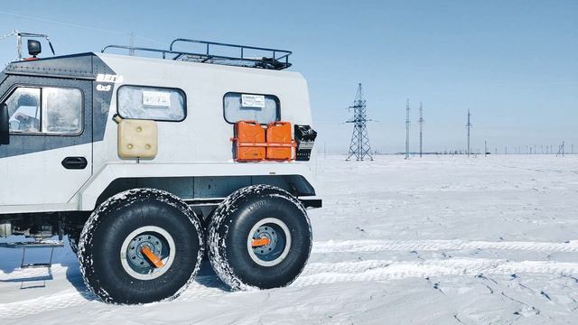 Ямальский проходимец