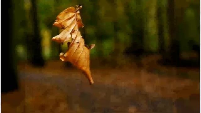 Вальс Бостон, Александр Розенбаум смотреть онлайн