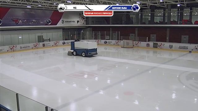 Матч РХЛ 19/20 "МД" - "МОРСКИЕ ЛЬВЫ" смотреть онлайн