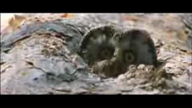 АрконА - По сырой земле смотреть онлайн