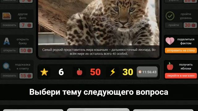 игра Гений загадки для умных приложение в контакте смотреть онлайн