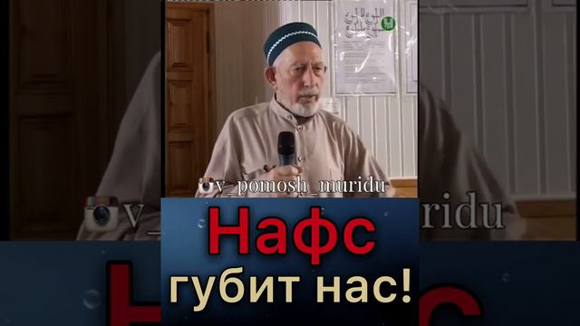 НАФС ГУБИТ НАС! смотреть онлайн