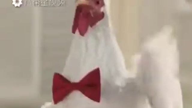 17 января 2017 г. смотреть онлайн