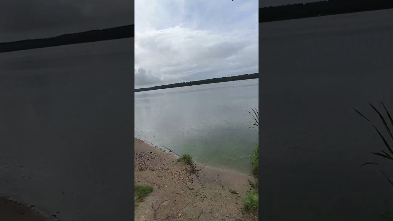 Рыбалка на Волге 2024.#рыбалка #shortvideo смотреть онлайн