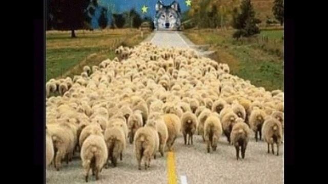 ПРОЕКТ КРЕМЛЯ, ведущий баранов на убой. № 1493 смотреть онлайн