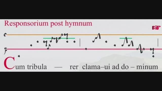 Cum tribularer clamavi