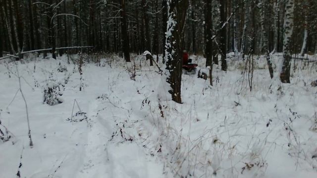 CF MOTO basic в снежном лесу смотреть онлайн