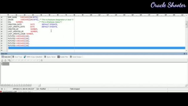 Add or Remove Comments on Table columns and View Columns  in Oracle
