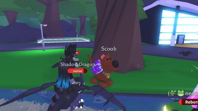 ПОСЛЕДНИЙ КВЕСТ - ВЕДЬМЫ напали на СКУБИ ДУ в Роблокс Адопт Ми! Roblox Adopt Me Scoob смотреть онлайн